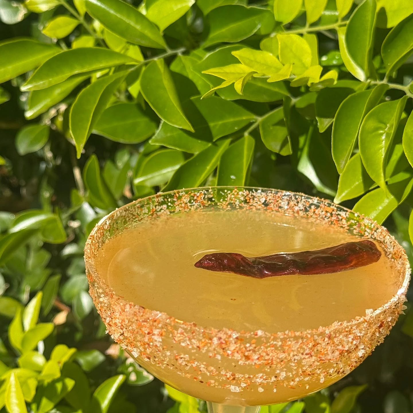 Spicy margarita with a gold sugar rim